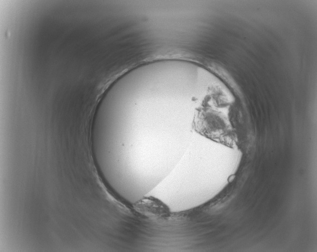 X0000074340433200609230122