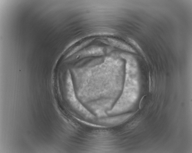 X0000074340435200609230122