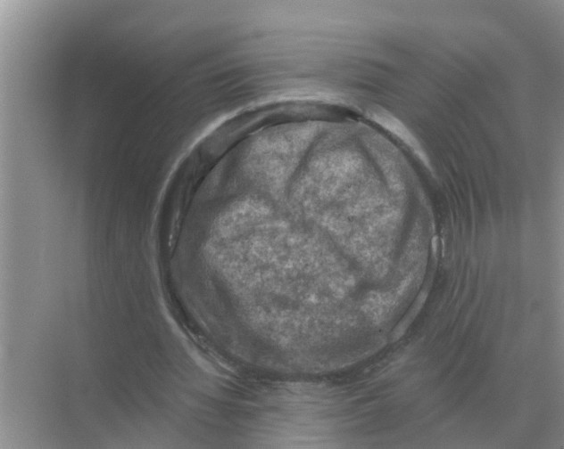 X0000074340436200609230122