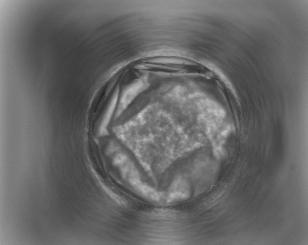 X0000074340437200609230122