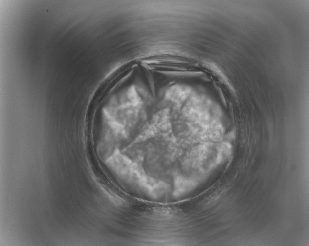 X0000074340439200609230122