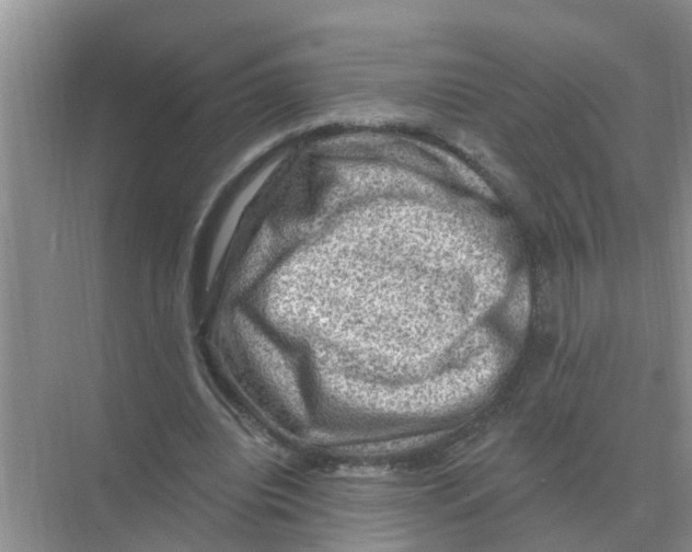 X0000074340440200609230122