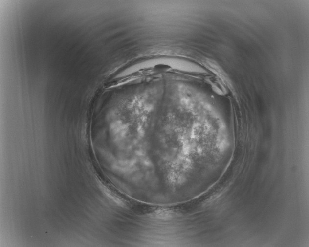 X0000074340441200609230122