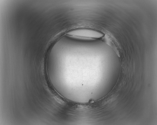 X0000074340442200609230122