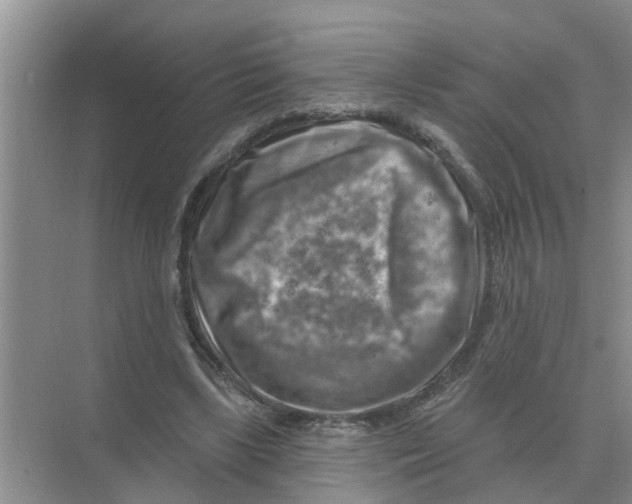 X0000074340443200609230122