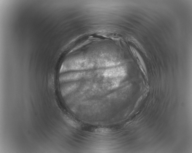 X0000074340444200609230122