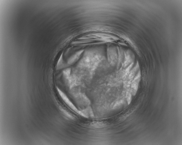 X0000074340445200609230122