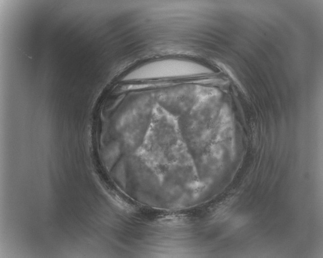 X0000074340447200609230122