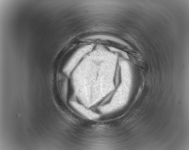 X0000074340448200609230122