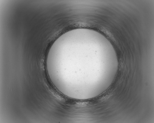 X0000074340450200609230122