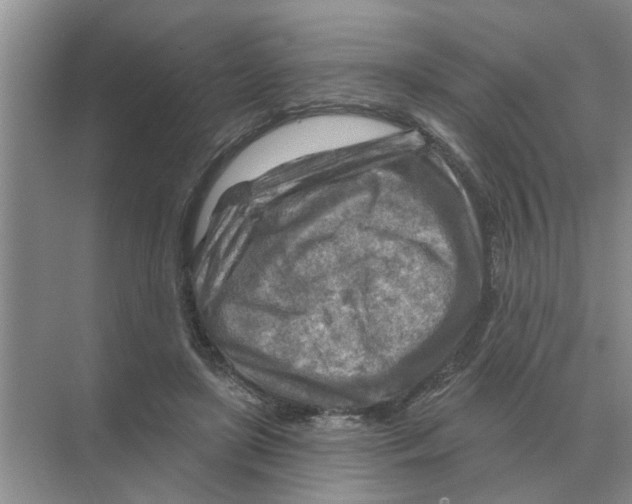 X0000074340451200609230122