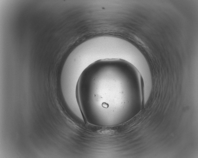 X0000074340452200609230122