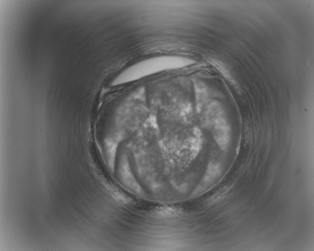 X0000074340453200609230122