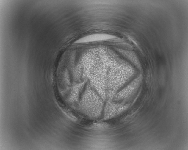 X0000074340455200609230122