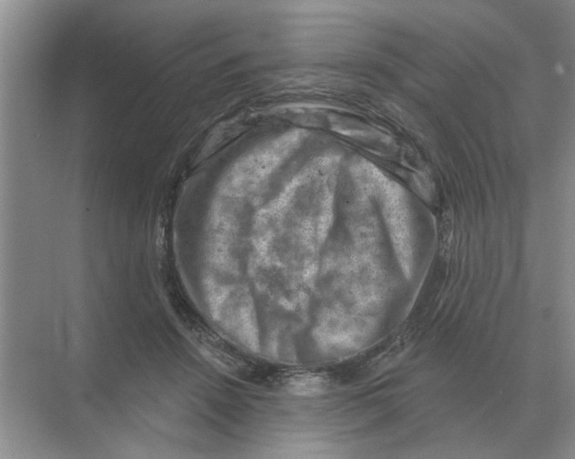 X0000074340456200609230122