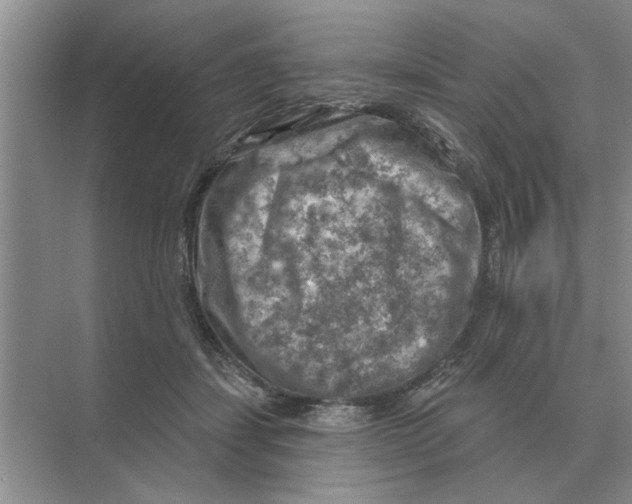 X0000074340459200609230122