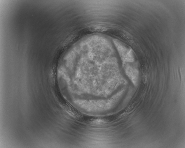 X0000074340460200609230122