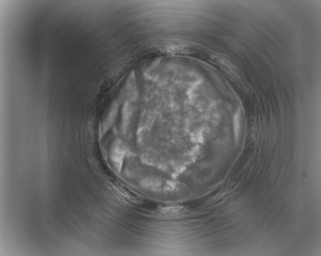 X0000074340461200609230122