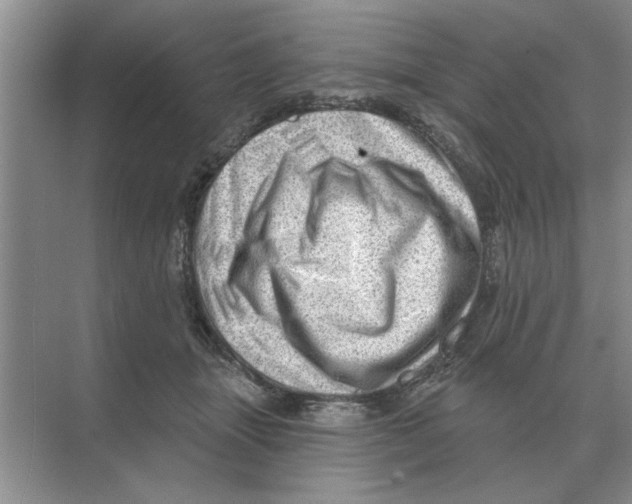 X0000074340463200609230122