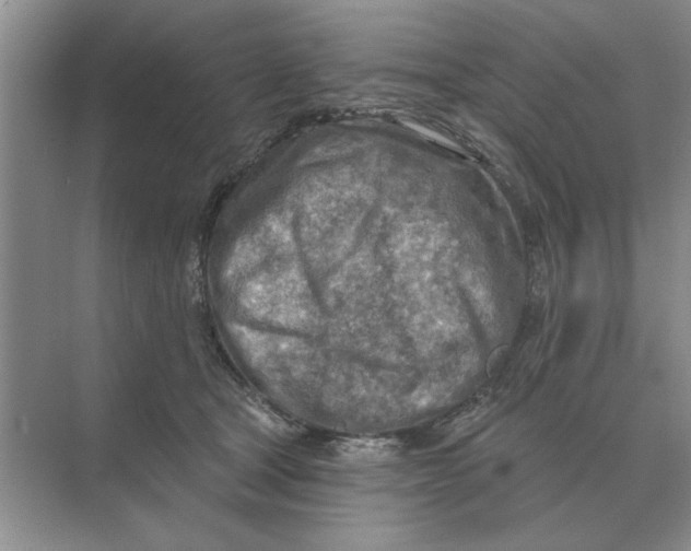 X0000074340465200609230122