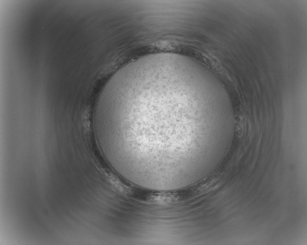 X0000074340466200609230122