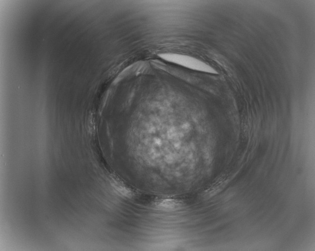 X0000074340467200609230122