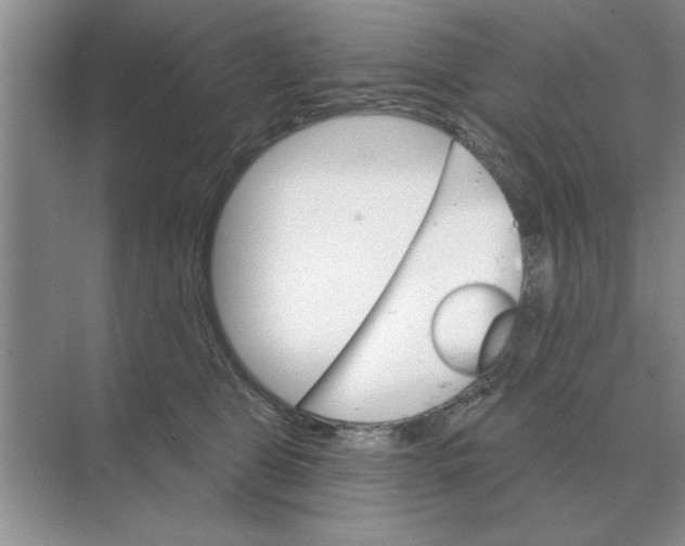 X0000074340469200609230123