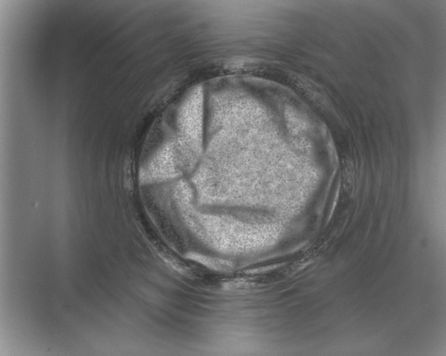 X0000074340470200609230123