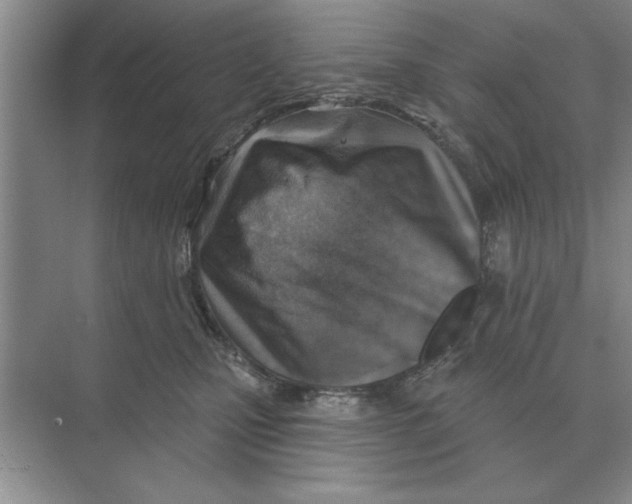 X0000074340471200609230123