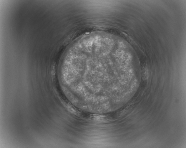 X0000074340472200609230123