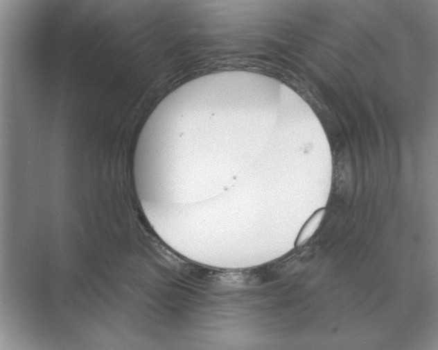 X0000074340473200609230123