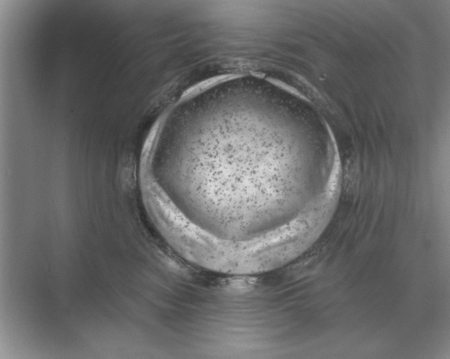 X0000074340474200609230123