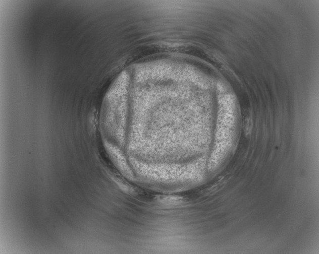 X0000074340476200609230123