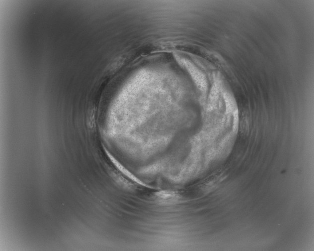 X0000074340477200609230123