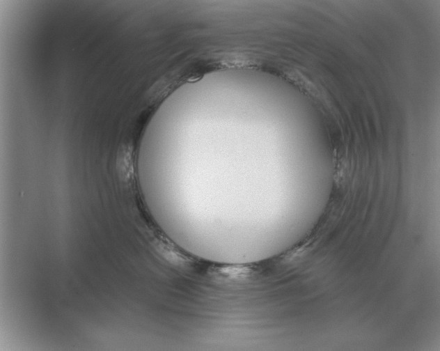 X0000074340478200609230123