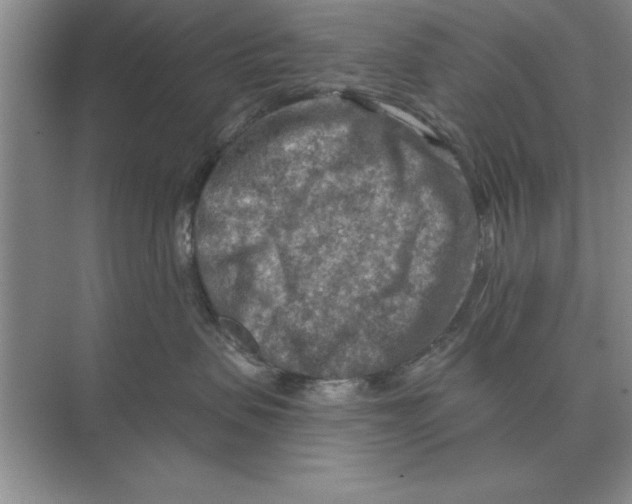 X0000074340479200609230123