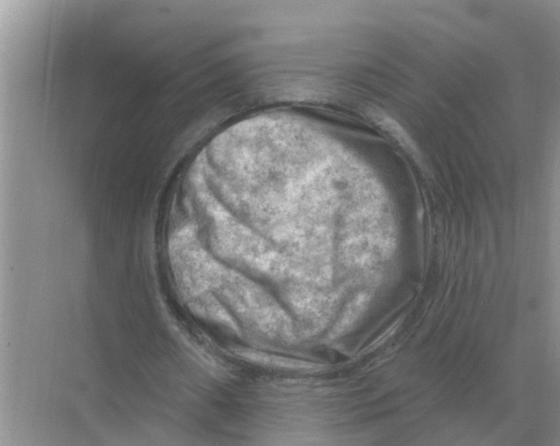 X0000074340482200609230122