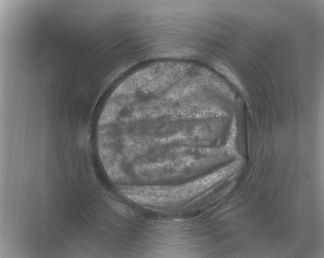 X0000074340483200609230122