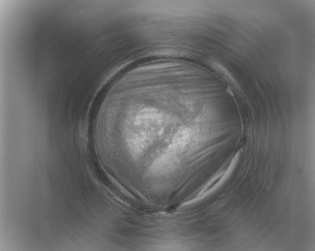 X0000074340484200609230122