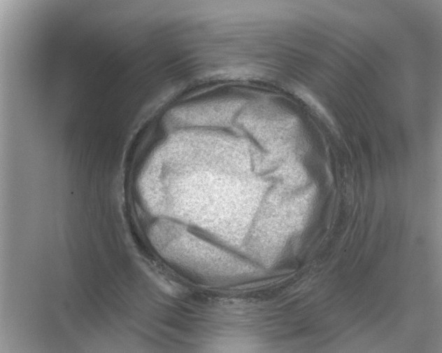 X0000074340486200609230122