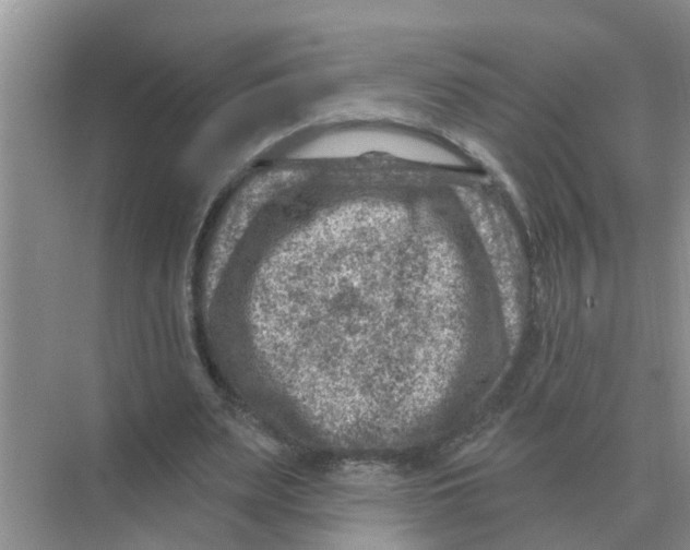 X0000074340487200609230122