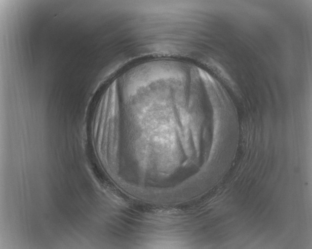 X0000074340488200609230122