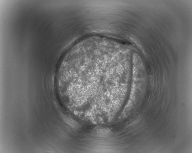 X0000074340491200609230122