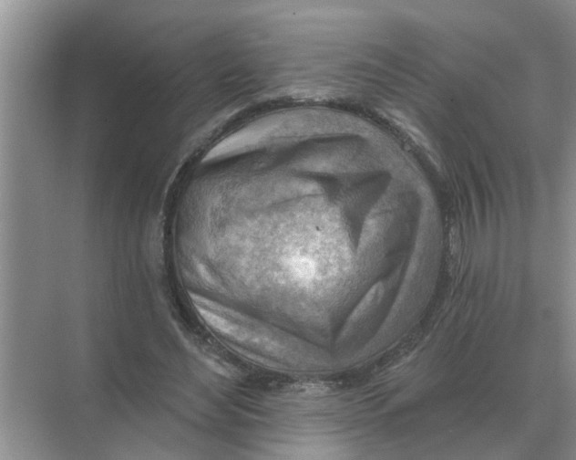 X0000074340492200609230122