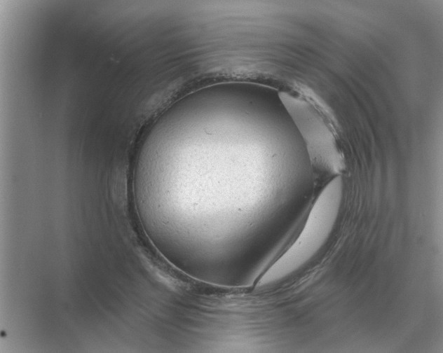 X0000074340493200609230122