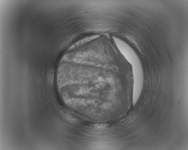 X0000074340495200609230122