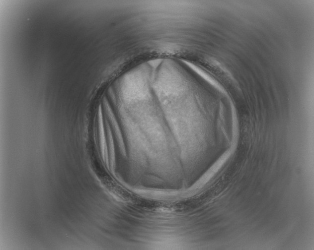 X0000074340496200609230122