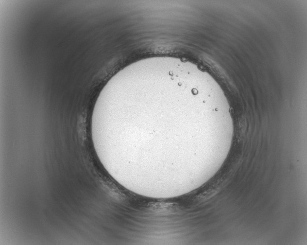 X0000074340497200609230122