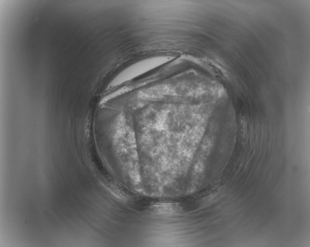 X0000074340499200609230122