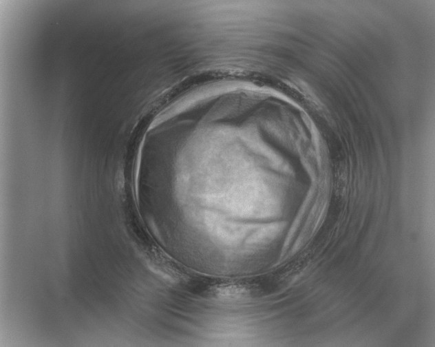 X0000074340500200609230122